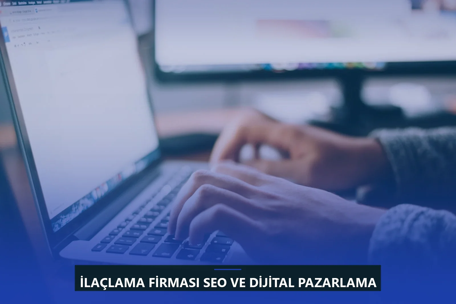 İlaçlama Firması SEO ve Dijital Pazarlama